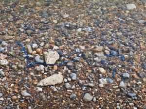 Blue Rope, Seaford April 2013