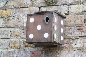 Burton Agnes, bird box, 160618