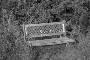 Landbeach bench, August 2016